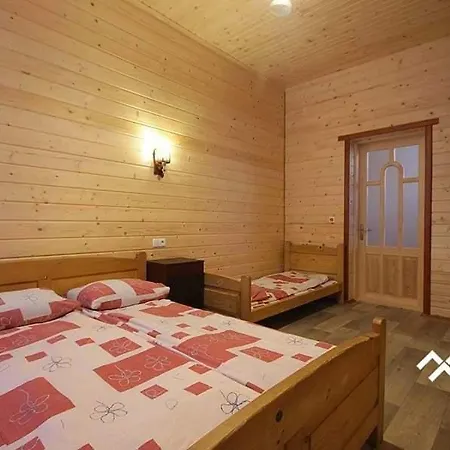 дім з видом на гори. Maison d'hôtes Vizhenka