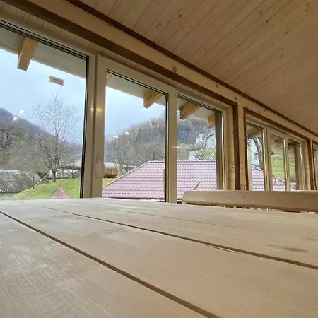 дім з видом на гори. * Vizhenka