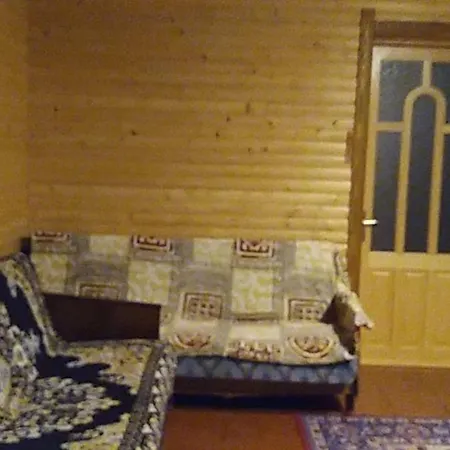 дім з видом на гори. * Vizhenka