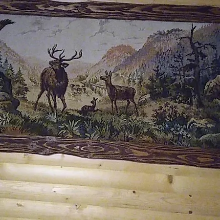 дім з видом на гори. * Vizhenka