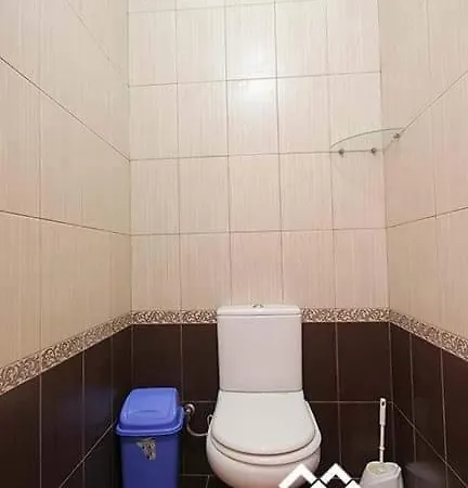 дім з видом на гори. Vizhenka