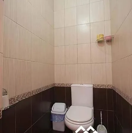 дім з видом на гори. * Vizhenka