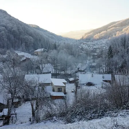 дім з видом на гори. Vizhenka