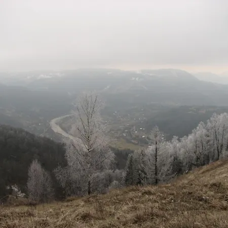 дім з видом на гори. Gasthof Vizhenka