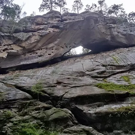 Gasthof дім з видом на гори. Vizhenka
