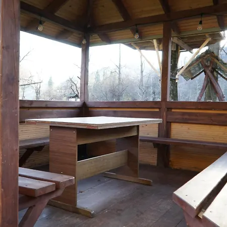 дім з видом на гори. Guest house Vizhenka