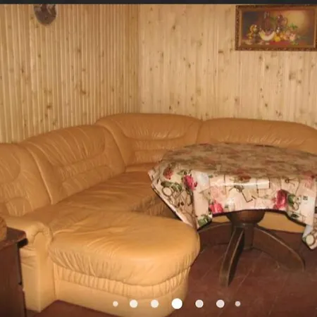 Guest house дім з видом на гори. Vizhenka