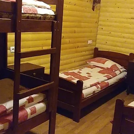 Guest house дім з видом на гори. Vizhenka