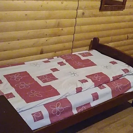 дім з видом на гори. Vizhenka