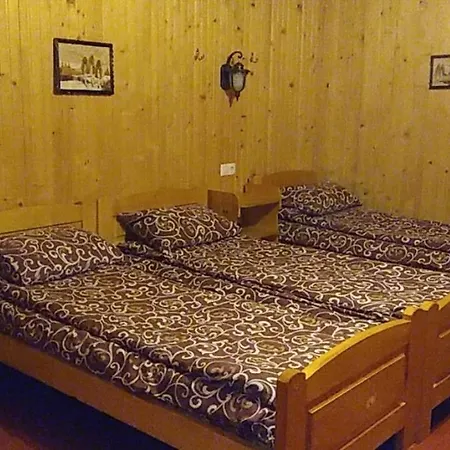 дім з видом на гори. Vizhenka