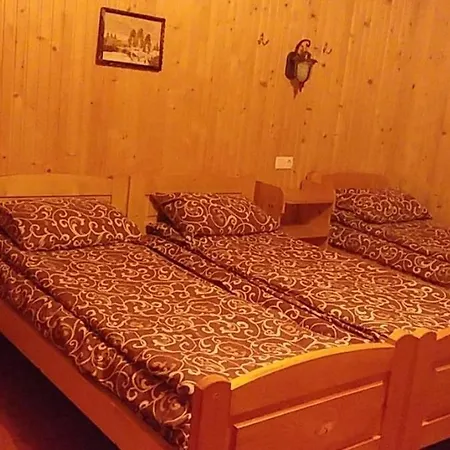 дім з видом на гори. * Vizhenka