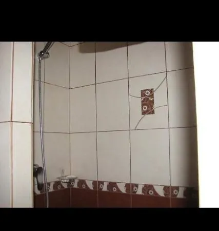 дім з видом на гори. * Vizhenka